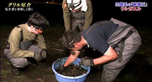 牛哥最新爆料新闻视频大全,最新爆料新闻视频大全汇总